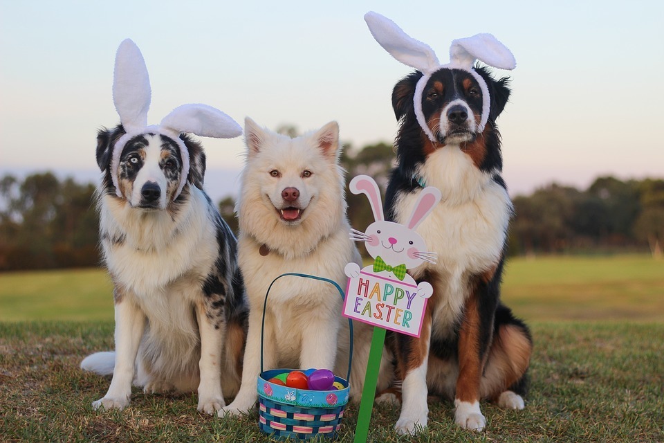 easter960_720.jpg