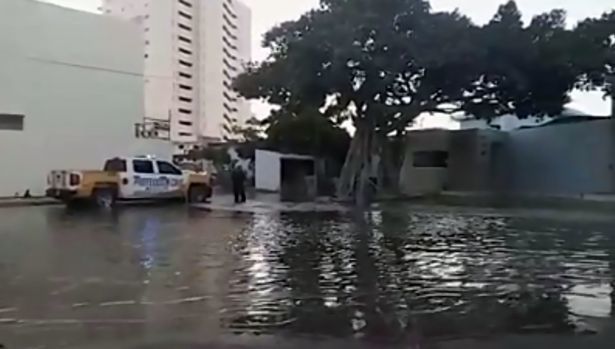 AquariumFlood3.jpg