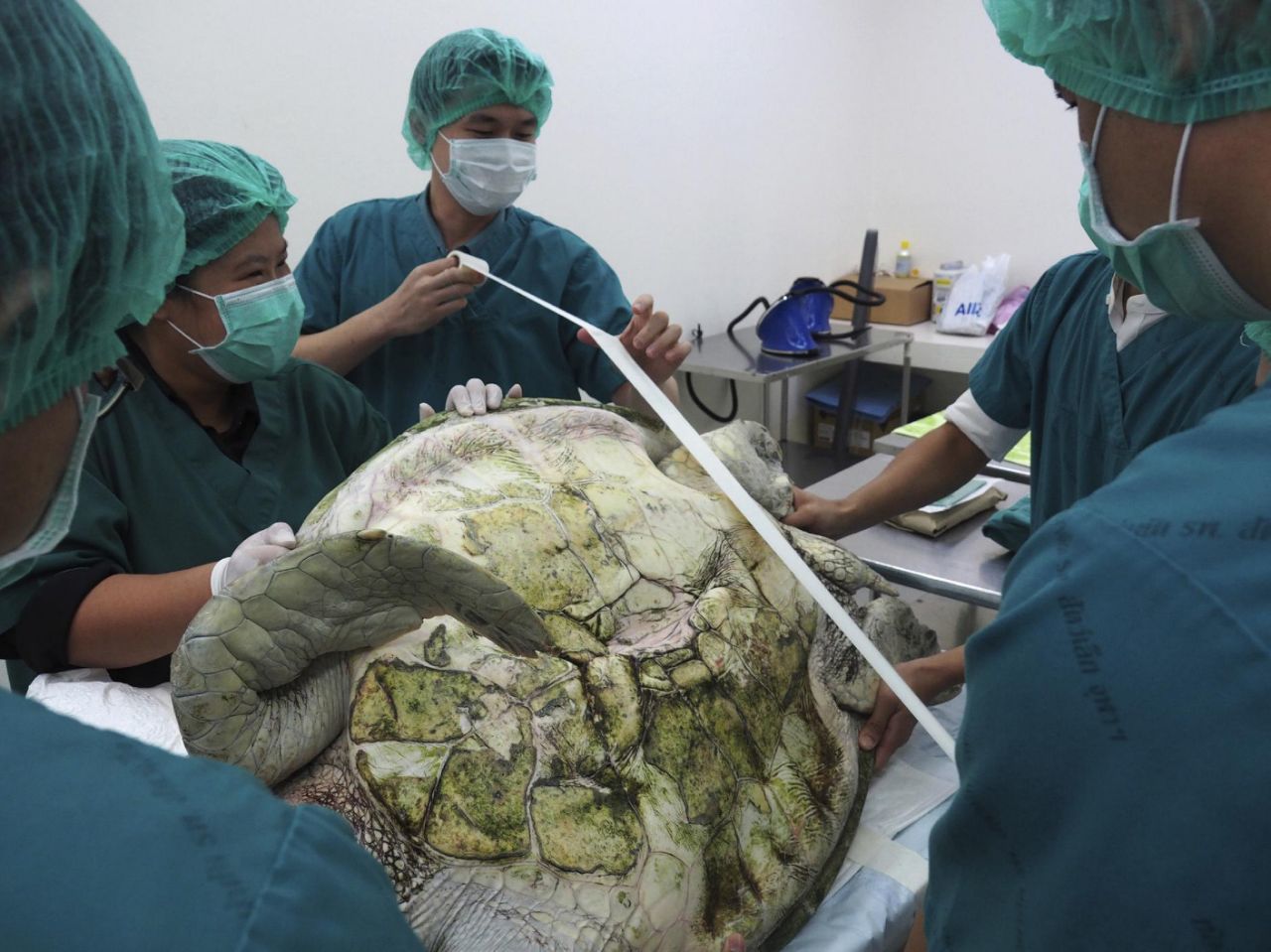 Bank swallowed coins4.jpg