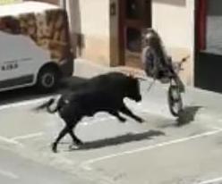 Escaped-bull-attacks-motorcycle-in-Spanish-city.jpg