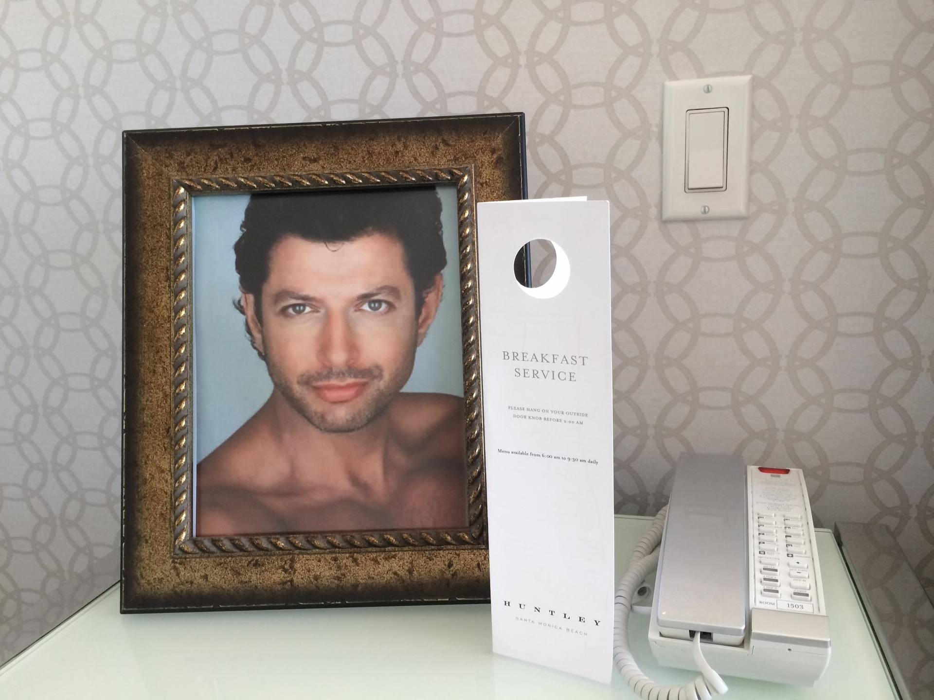 Goldblum's photo in the hotel room.jpg
