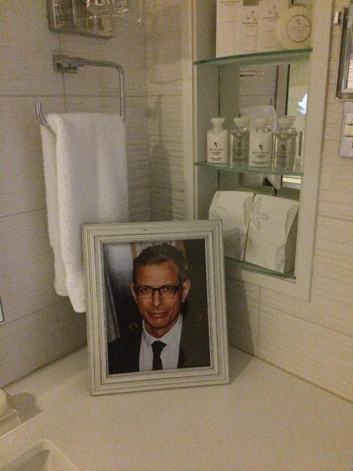 Goldblum's photo in the hotel room3.jpg