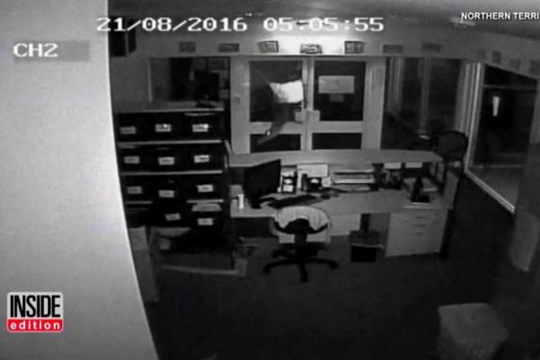 Police-probe-video-of-vandals-setting-crocodiles-loose-in-school-office.jpg
