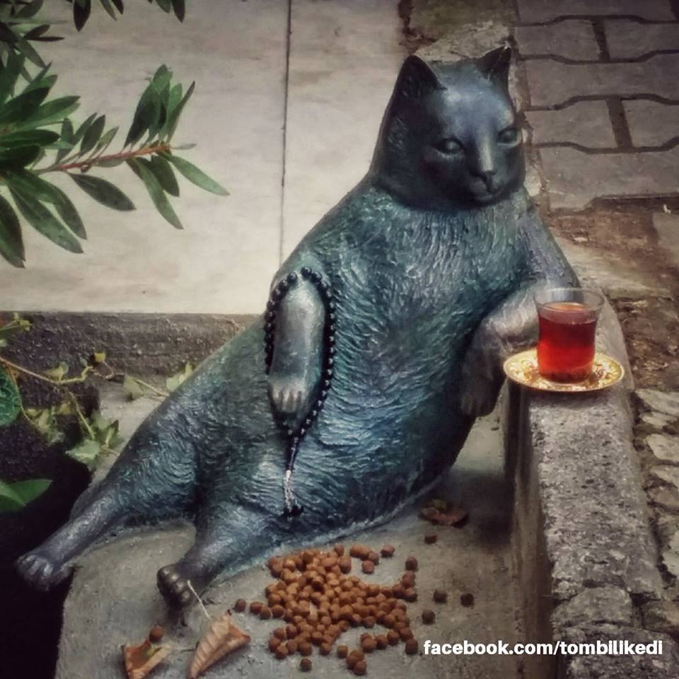Tombili the cat2.jpg
