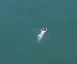 a swimming man.jpg