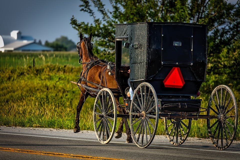 amish-buggy.jpg
