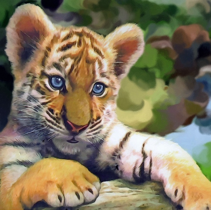 baby tiger.jpg