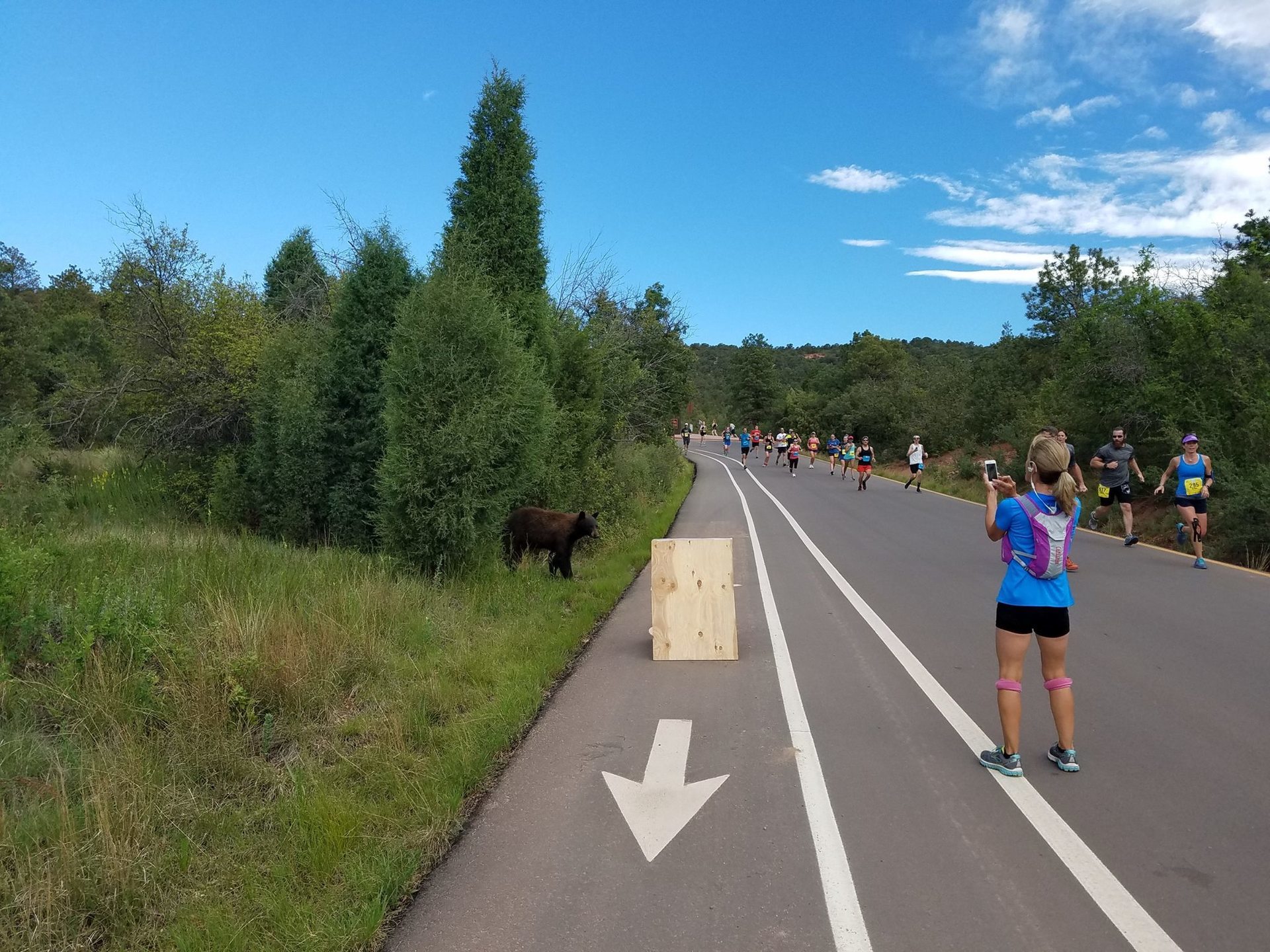 bear in running race2.jpg