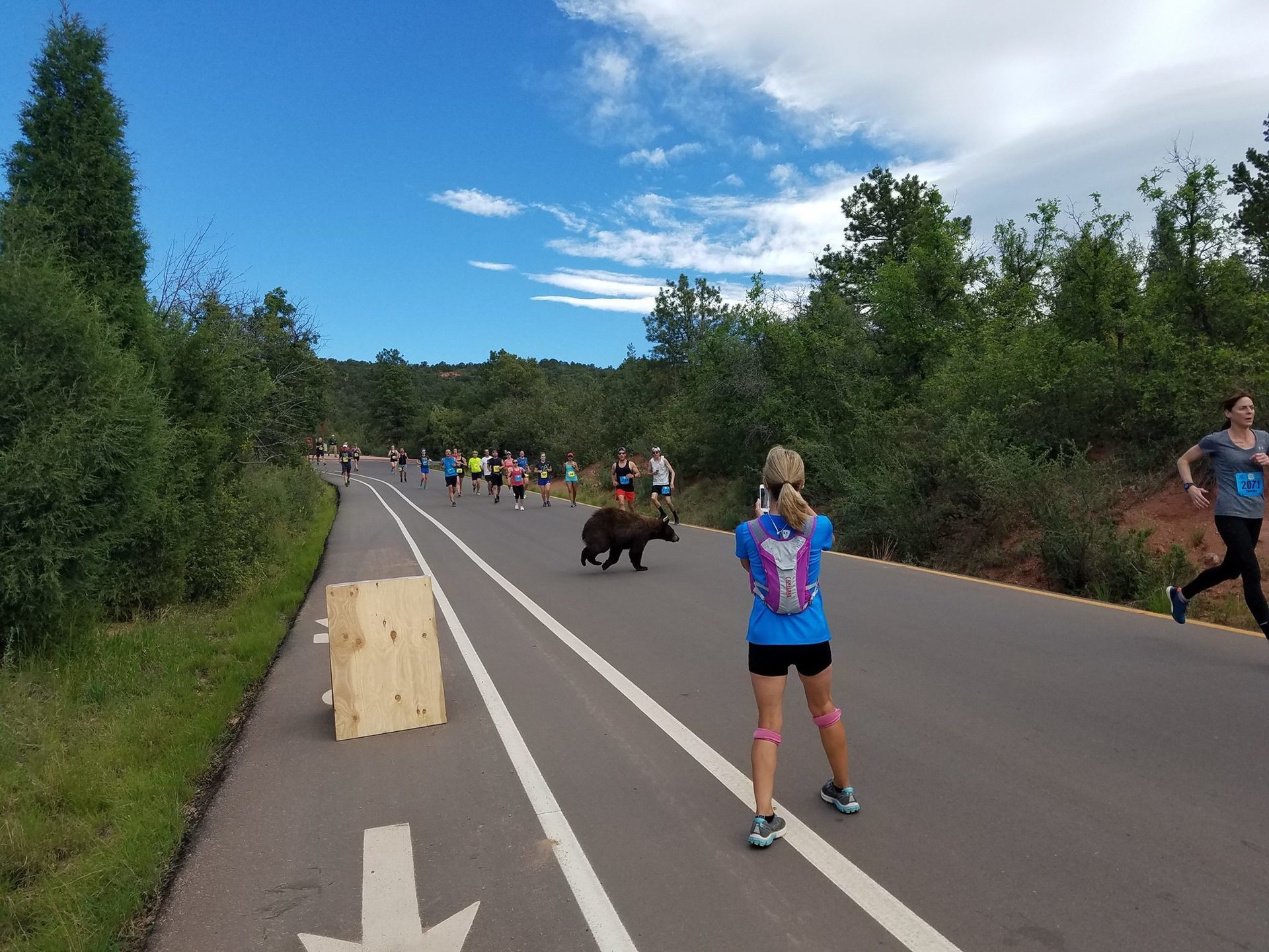 bear in running race4.jpg
