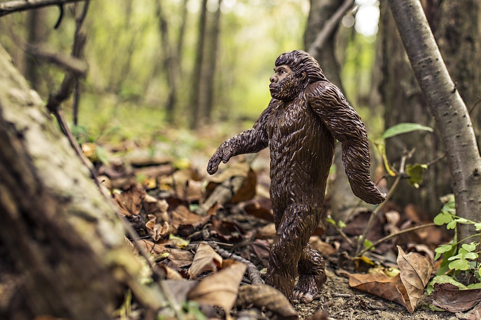 bigfoot.jpg