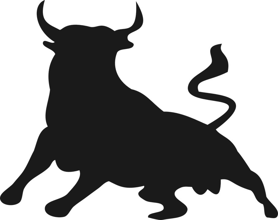 bull.jpg