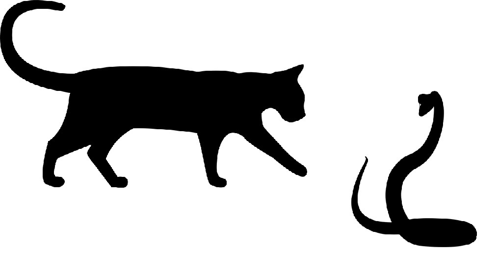 cat-cobra-silhouette.jpg