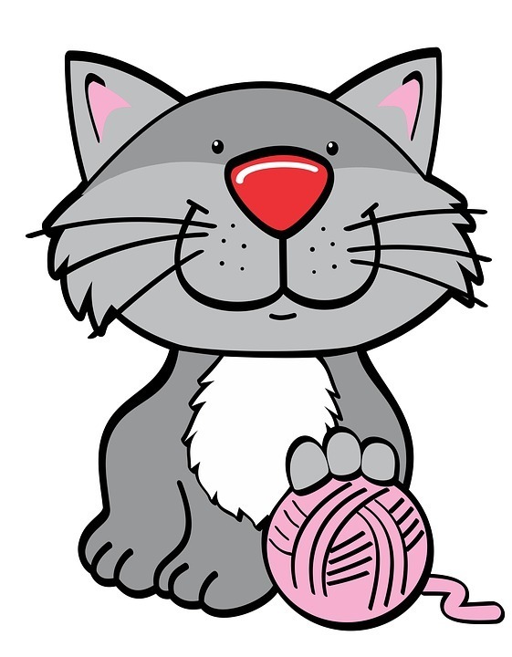 cat image.jpg