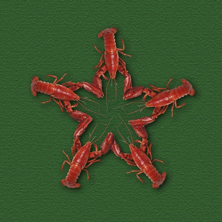 crayfish.jpg