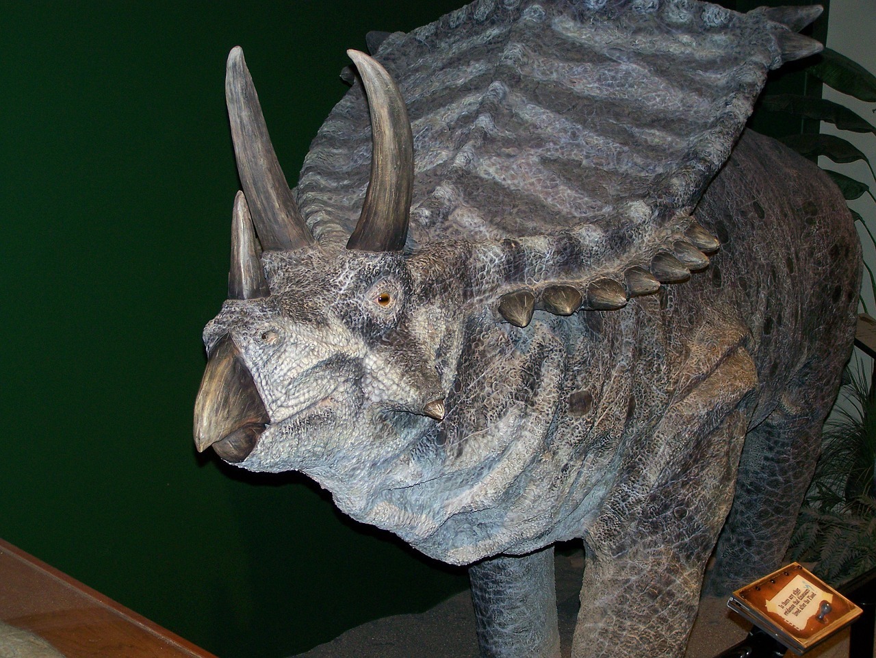 dinosaur-950449_1280.jpg