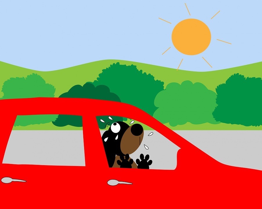 dog-220191_960_720.jpg