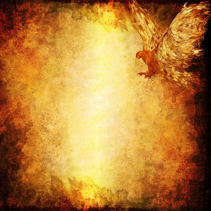 fire bird.jpg
