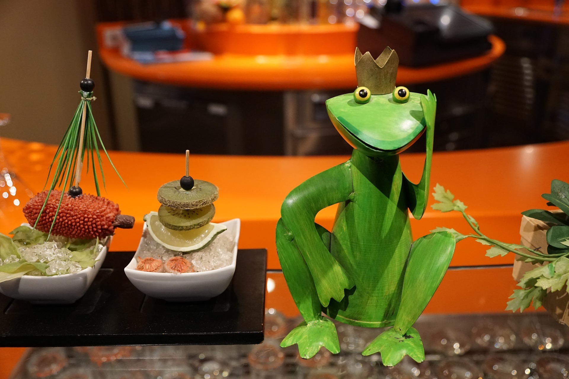 frog.jpg