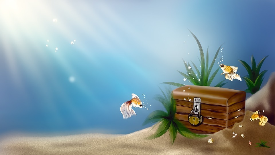 gold_fish.jpg
