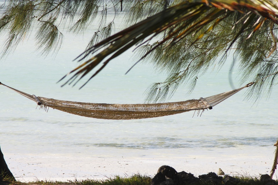 hammock.jpg