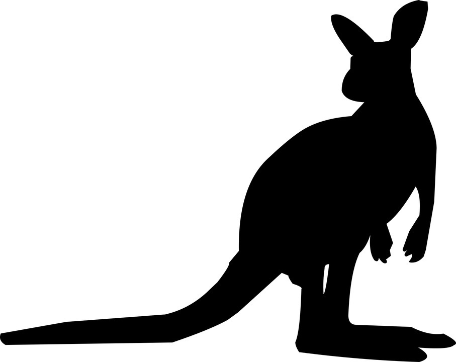 kangaroo-shilhouette.jpg