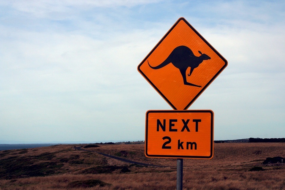 kangaroo sign.jpg