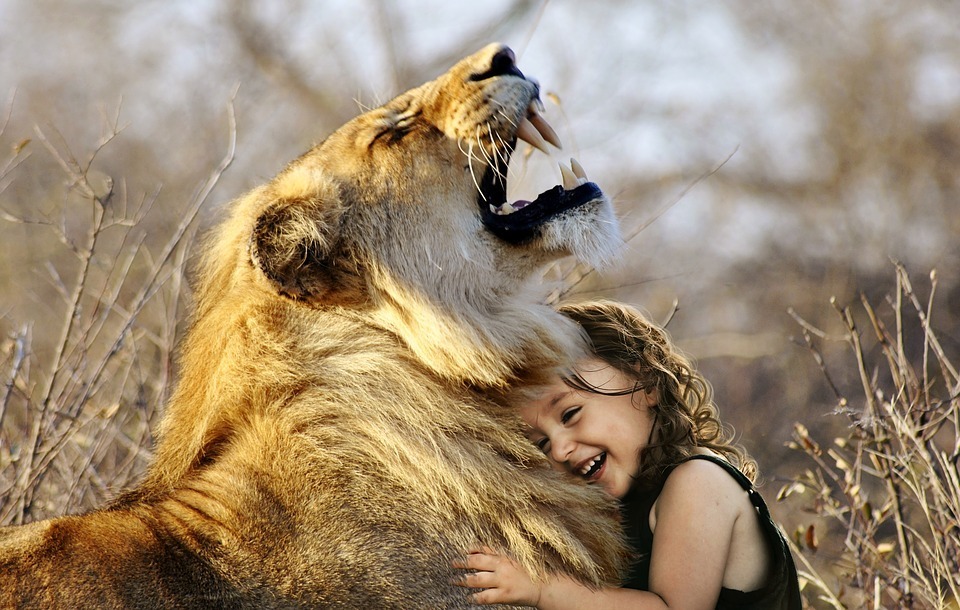 lion in the city.jpg