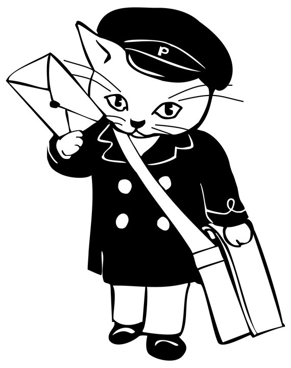 mail delivery cat.jpg