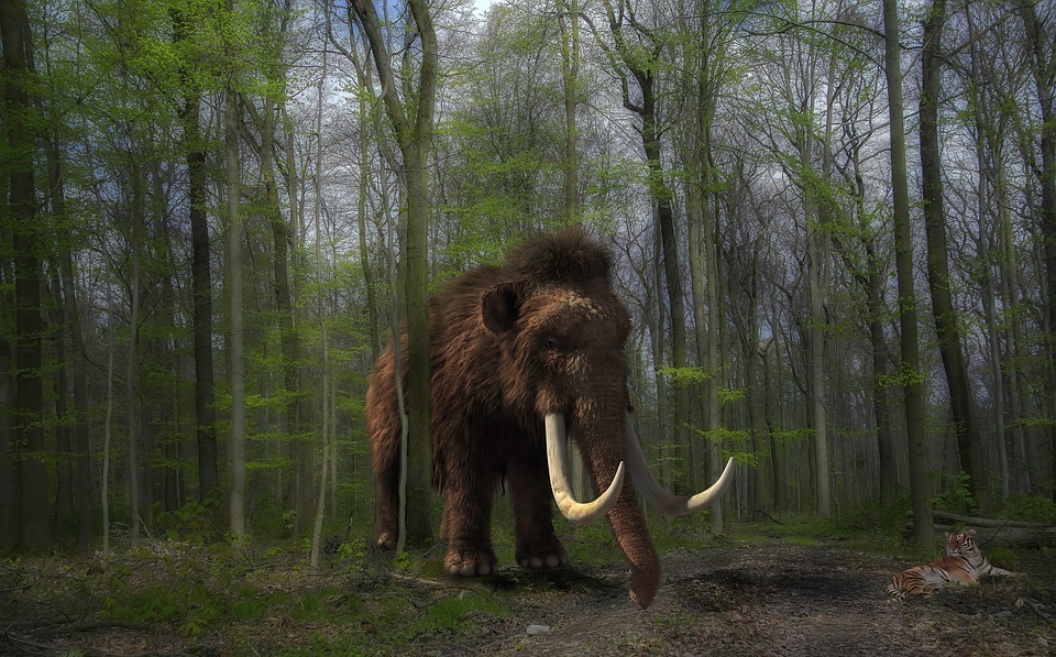 mammoth.jpg