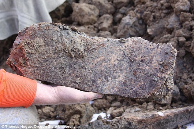 mammoth_bones 2.jpg