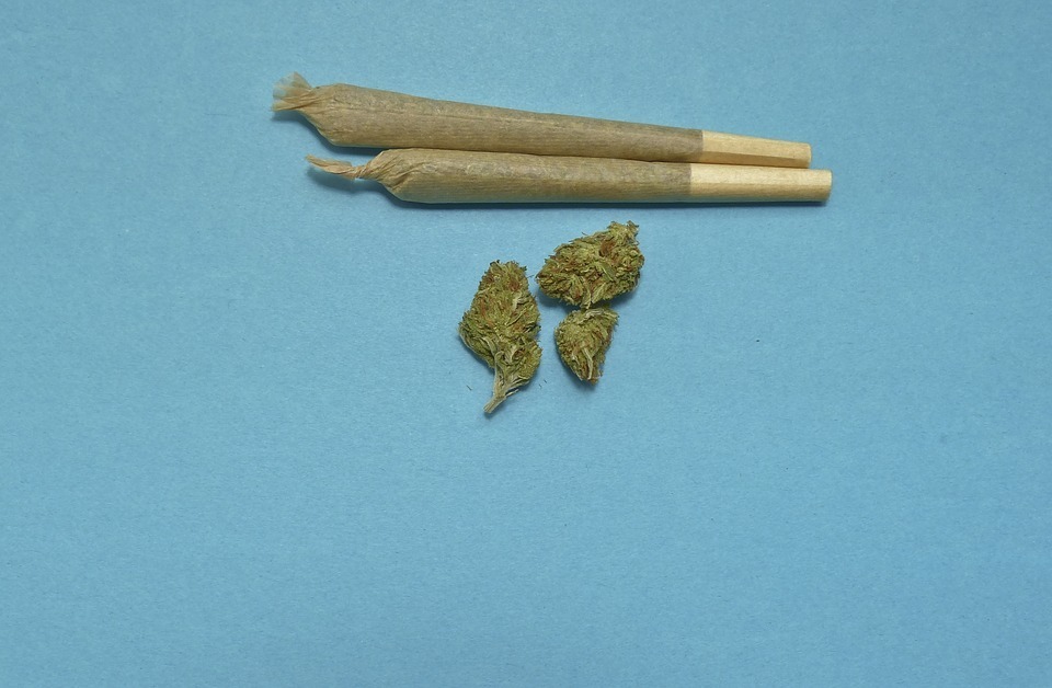 marijuana.jpg