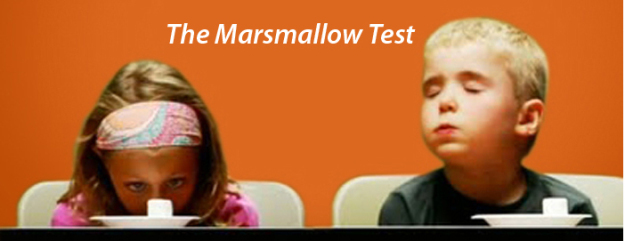marshmallowtest.jpg