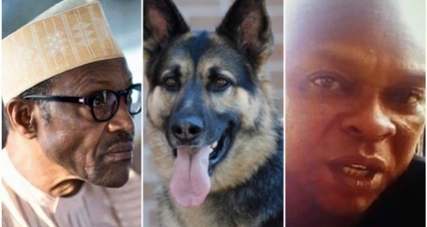 name-dog-after.jpg