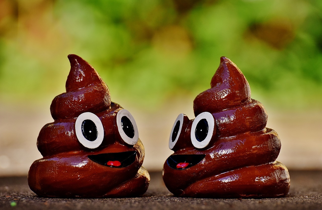 poop.jpg