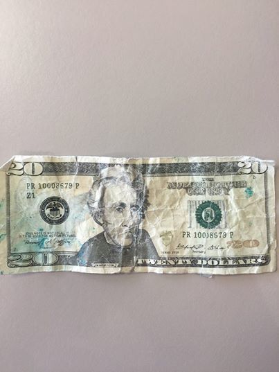 prop 20 dollar bill.jpg