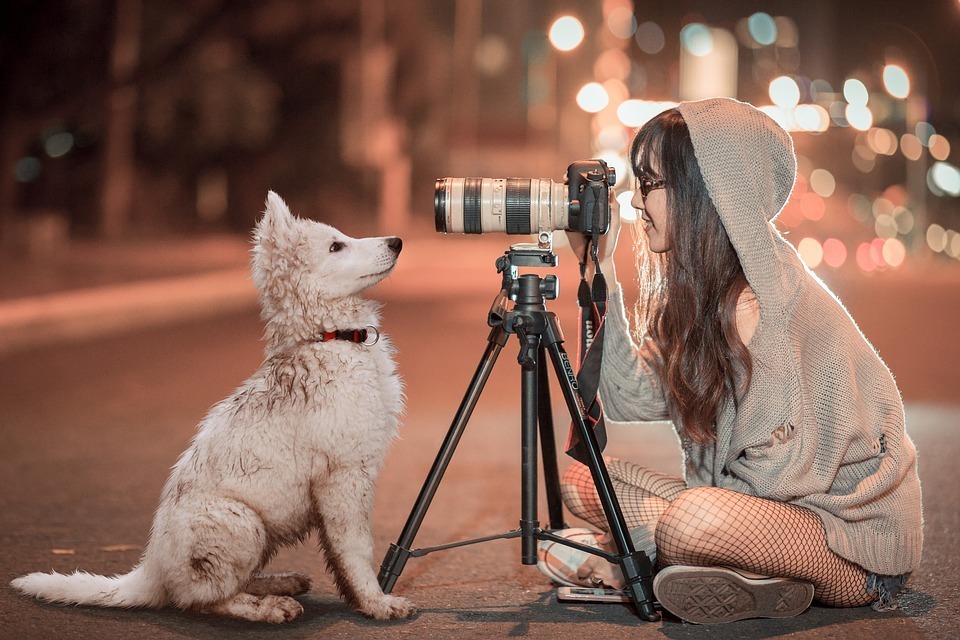 puppy-camera.jpg
