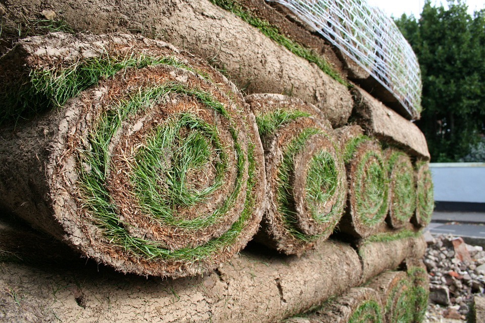 turf roll.jpg