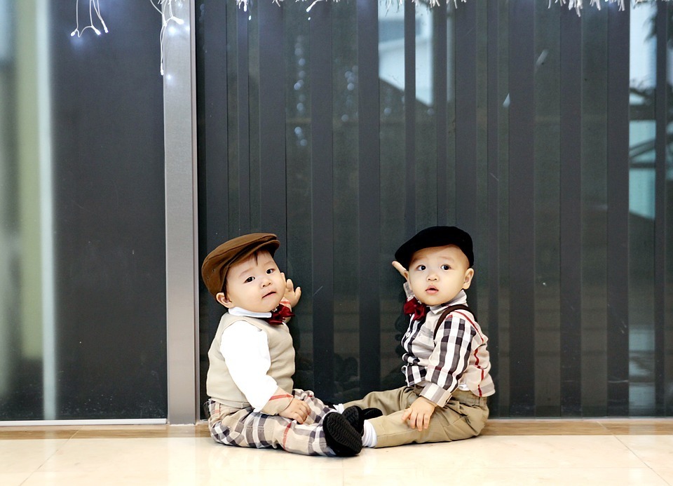 twins-1169067_960_720.jpg