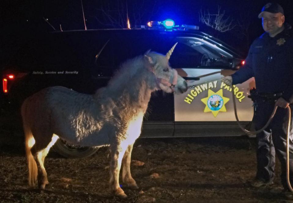unicorn.jpg